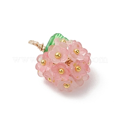 Прозрачные акриловые подвески&nbsp;PALLOY-JF04847