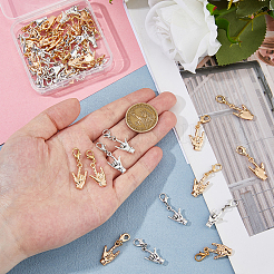 48 шт. 2-х цветные подвески из сплава&nbsp;HJEW-FH00182