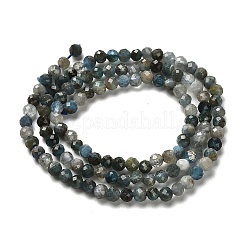 Природного апатита нитей бисера&nbsp;LS-G-RM2025-A18-3mm-B