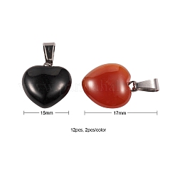 12 шт. 6 стиля подвески из натуральных драгоценных камней&nbsp;G-LS0002-10