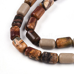 Нити бусин из натуральной яшмы пикассо/полихромной яшмы&nbsp;G-N346-01B-05