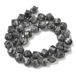 Натуральные нити бус из ларвикита&nbsp;G-C267-B24