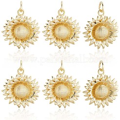 10шт латунные подвески&nbsp;KK-BBC0020-54