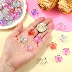 120шт 6 цвета акриловые колпачки для бусин&nbsp;OACR-YW0002-32