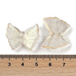 Окрашенные бусины из стекла&nbsp;GLAA-Z007-02F