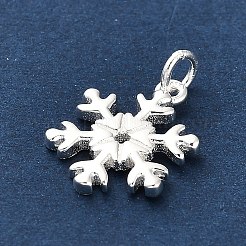 925 стерлингов серебряные подвески&nbsp;LS-FIND-Z069-04S-B