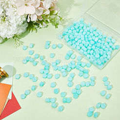 200 шт. частицы сургуча для отпечатков лап&nbsp;DIY-CP0009-32