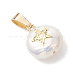 3шт 3 стиля барокко подвески из натурального жемчуга кеши&nbsp;PALLOY-JF04958