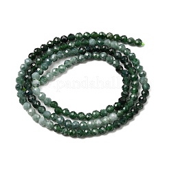 Естественный жадеит бисер пряди&nbsp;G-P603-C-3mm-02