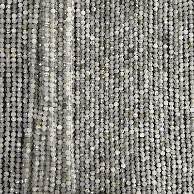 Природные лабрадорита бисер нитей&nbsp;LS-G-RM250104-A1-1