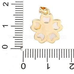 Латунные подвесные поручни&nbsp;LS-KK-A232-04G