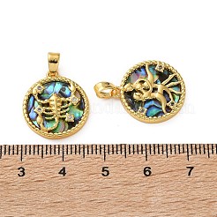 Латунные микропаве прозрачные подвески с фианитом&nbsp;KK-L266-03G