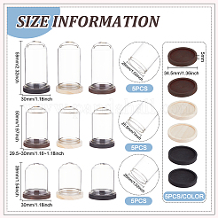 15 шт. мини стеклянный купол&nbsp;DJEW-BC0001-19