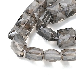 Стеклянные бусины с гальваническим покрытием &nbsp;EGLA-L045-B-PL02