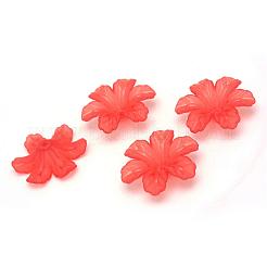 Прозрачные акриловые бусины FACR-Q009-09