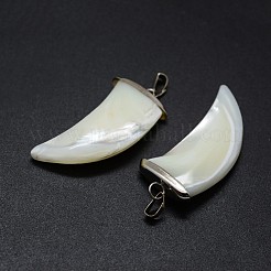 Подвески из раковины SSHEL-E564-17P