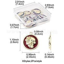 12шт 6 цвета сплава эмалевые подвески&nbsp;FIND-FS0003-81