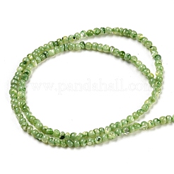 Нити натуральных бусин&nbsp;BSHE-Z005-03E