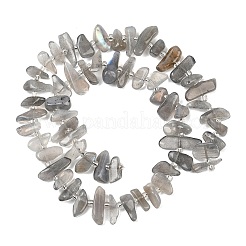 Природные лабрадорита бисер нитей&nbsp;G-C273-B01