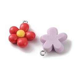 Подвески из непрозрачной смолы&nbsp;CRES-B036-02