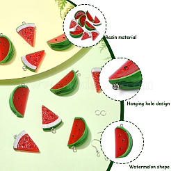 Наборы для изготовления серег и брелоков из арбузной смолы своими руками&nbsp;DIY-YW0010-01
