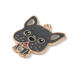 Подвески из эмали и сплава&nbsp;FIND-I047-01KCG-05