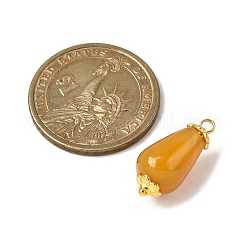 Природные подвески агат треск&nbsp;PALLOY-JF04424-01