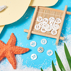 24 шт. 12 стиля природных пресноводных ракушек&nbsp;SHEL-KS0001-04