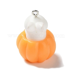 Подвески из смолы&nbsp;LS-CRES-D009-01H