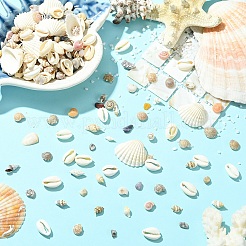 Наборы для самостоятельного изготовления украшений из ракушек&nbsp;DIY-YW0017-04