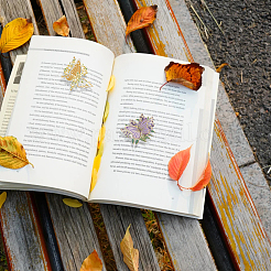 4 шт. латунные закладки-бабочки&nbsp;AJEW-WH20054-145