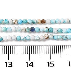 Природные Говлит бисер нитей&nbsp;G-C025-02A-07