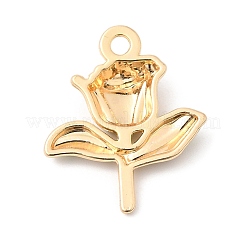 Подвески из эмали и сплава&nbsp;ENAM-C017-01B