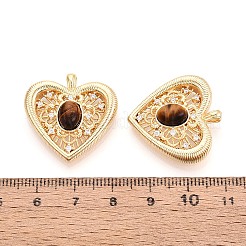 Природных тигровый глаз подвески&nbsp;KK-N287-14G-02