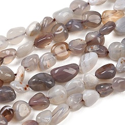 Природные Ботсвана агат самородки бусы пряди&nbsp;G-B170-A01