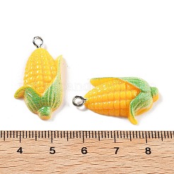 Подвески из непрозрачной смолы&nbsp;LS-RESI-S013-02C