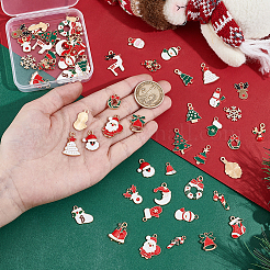 60 шт. Подвески из сплава с эмалью&nbsp;ENAM-UN0001-32