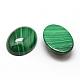 Овальные природные малахит кабошоны G-O147-03G-2
