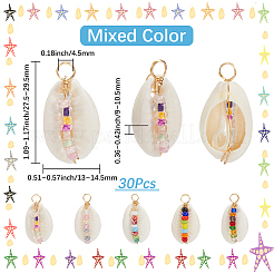 30 шт. Подвески из натуральных ракушек&nbsp;FIND-SC0015-63