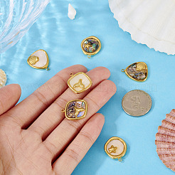 6 шт. 6 стиля подвески из нержавеющей стали 304 с натуральными ракушками&nbsp;STAS-TA0005-42