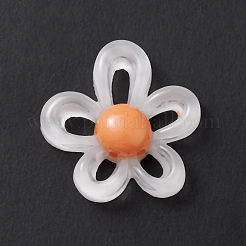 Кабошоны из полупрозрачной смолы&nbsp;LS-RESI-K021-01C