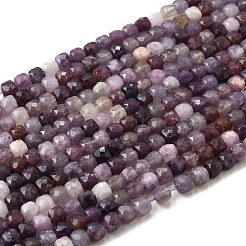 Натуральные лепидолитовые бусины G-RM2025-C36-C