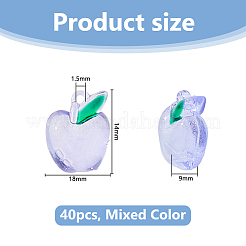 40шт прозрачные акриловые подвески&nbsp;OACR-DC0001-50