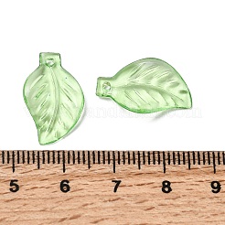 Прозрачные акриловые подвески&nbsp;X-DBLA156-8