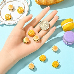 10шт 2 стиля непрозрачные подвески из смолы&nbsp;RESI-YW0003-32