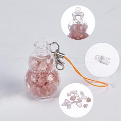 Прозрачное стекло желая бутылка кулон украшение&nbsp;HJEW-PH0001-29