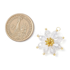 Стеклянные подвески&nbsp;PALLOY-MZ01143-03