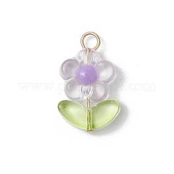 Прозрачные акриловые подвески&nbsp;PALLOY-JF03713-02