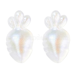 Прозрачные акриловые подвески&nbsp;OACR-P007-41