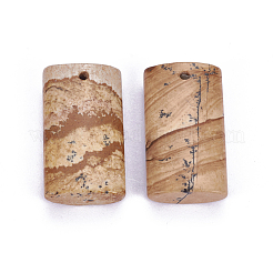 Естественного изображения яшмы подвески&nbsp;G-F614-02